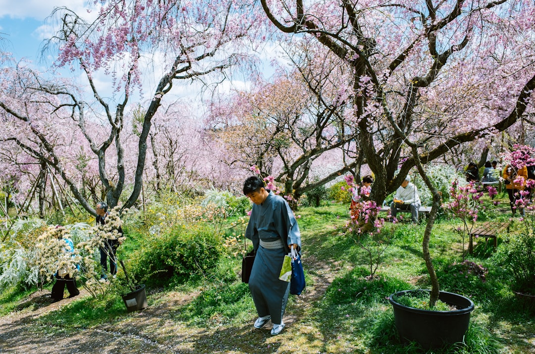 벚꽃 러닝