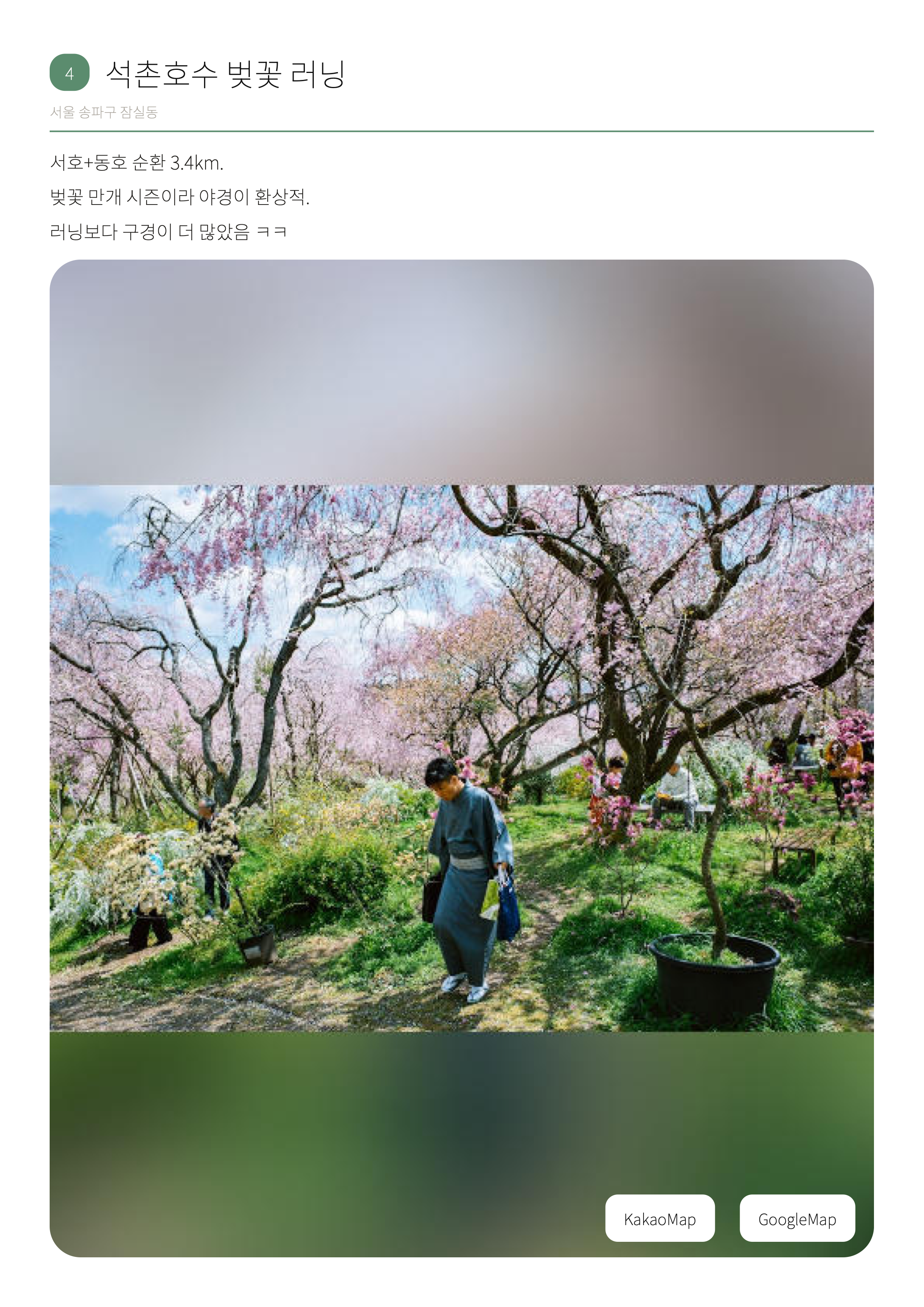 석촌호수 벚꽃 러닝